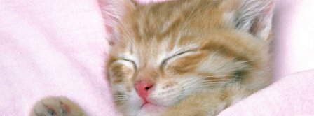 Sleepy Kitty Facebook Covers